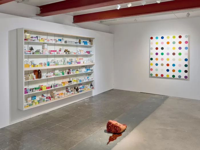 Installation view of a severed cow's head on the gallery floor Damien Hirst's ‘The Weight of Things’ at Munich’s Museum for Urban and Contemporary Art