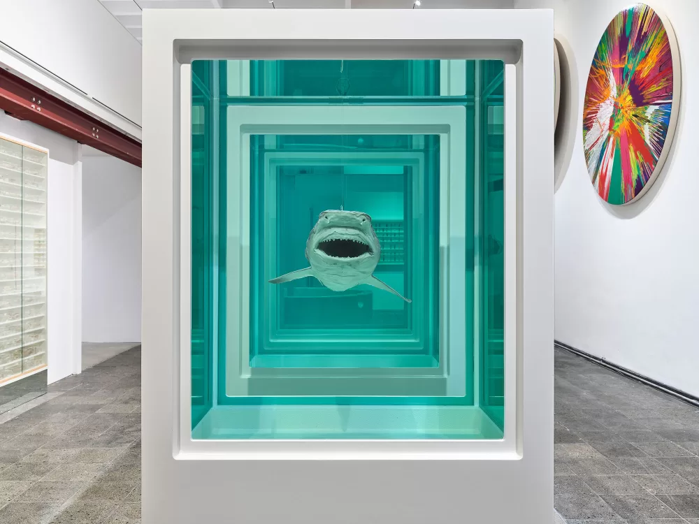 Installation view of a preserved shark from Damien Hirst's ‘The Weight of Things’ at Munich’s Museum for Urban and Contemporary Art