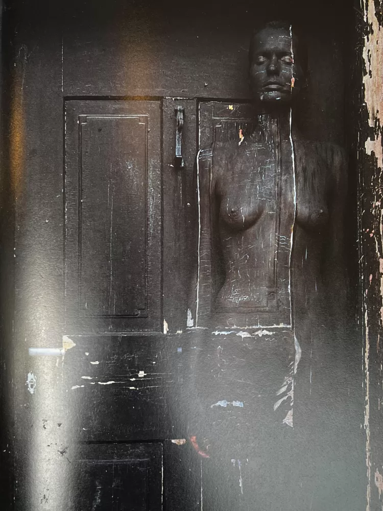 A photograph of a page from a photography book picturing a woman camouflaged with body paint