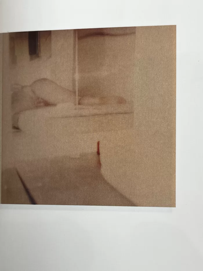 A photograph of a page from a photobook picturing a grainy photograph of someone naked in bed