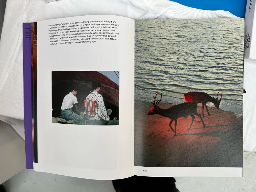 A photograph of a double-page spread from TOPSAFE's 'Next To Nothing', featuring photos of two people in the wilderness and two deer by the water