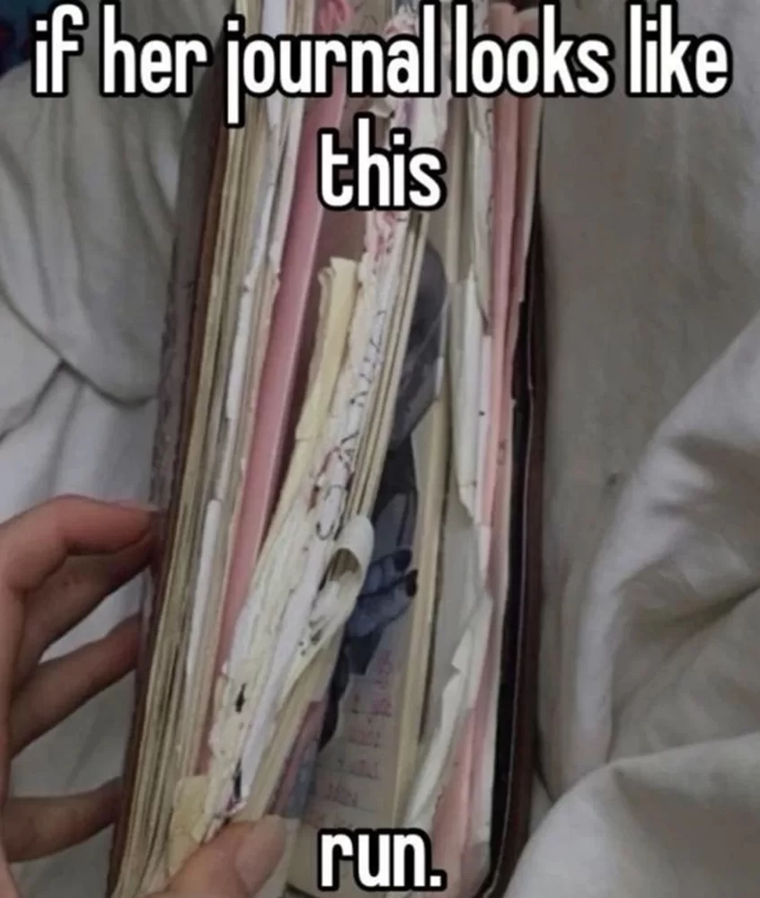 A picture of the 'If her journal looks like this' meme making fun of the diary trend