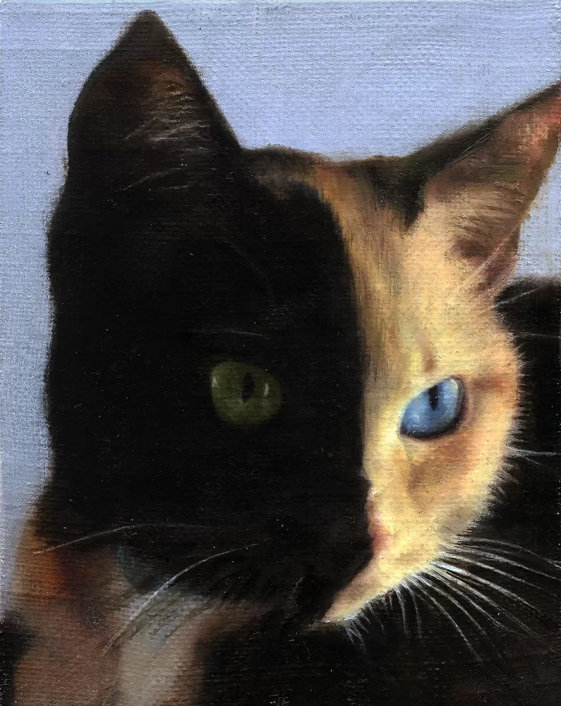 Cat painting by Joseph Jones for The Radar