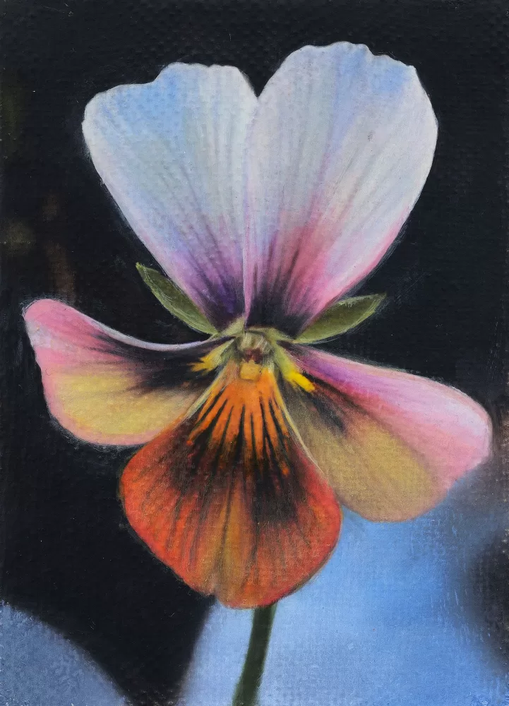 Flower painting by Joseph Jones