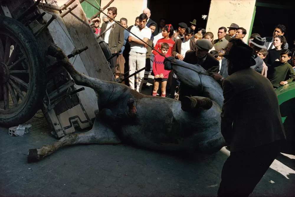 Joel Meyerowitz photograph of a toppled statue in Malaga, Spain